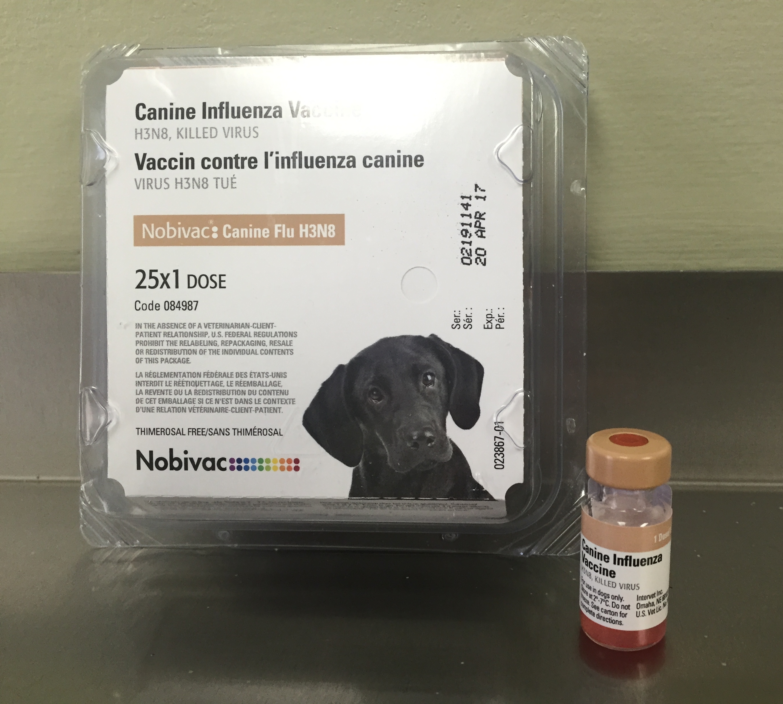 dog influenza vaccine